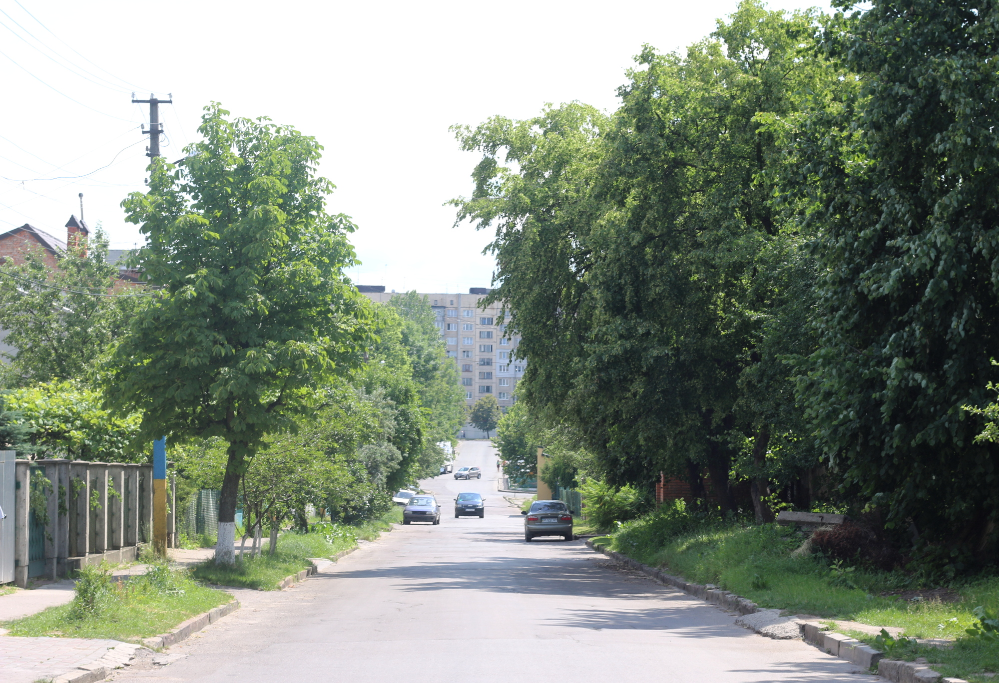 У Львові група мешканців ініціювали перейменування понад 30 вулиць міста