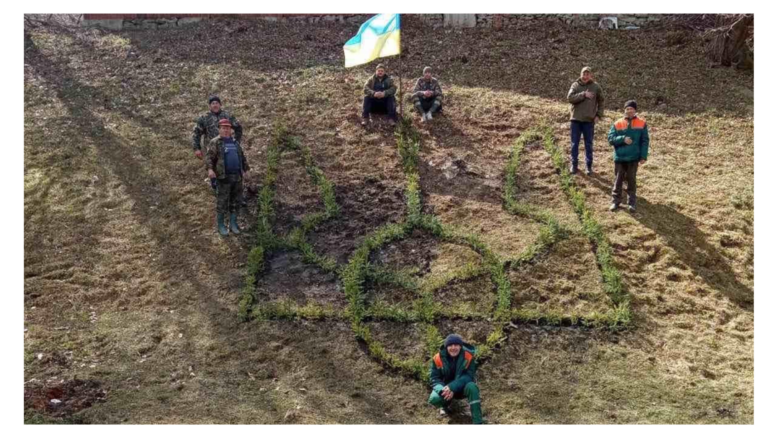 У національному парку «Сколівські Бескиди» створили вічнозелений герб України