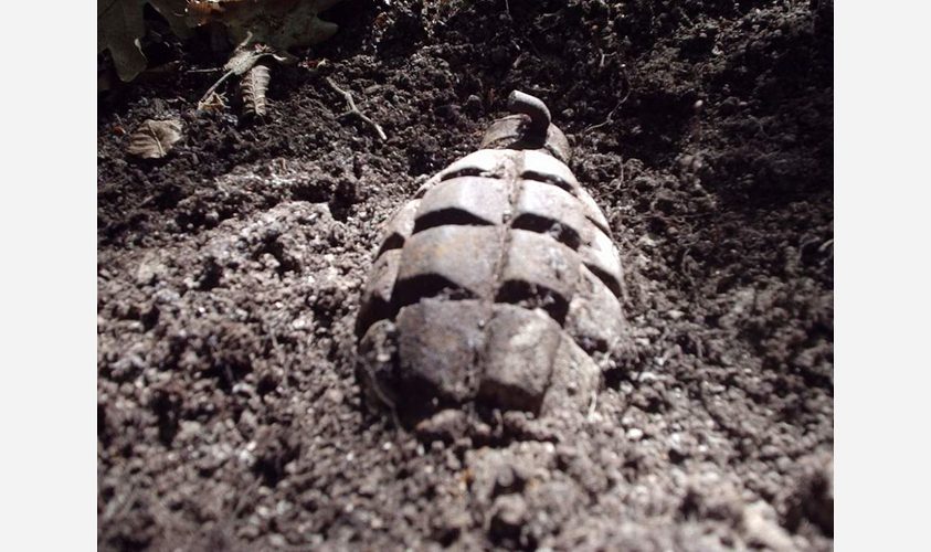 На дачному кооперативі у Львові виявили дві гранати