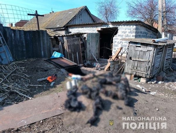 На Харківщині виявили катівню, яку влаштували російські військові