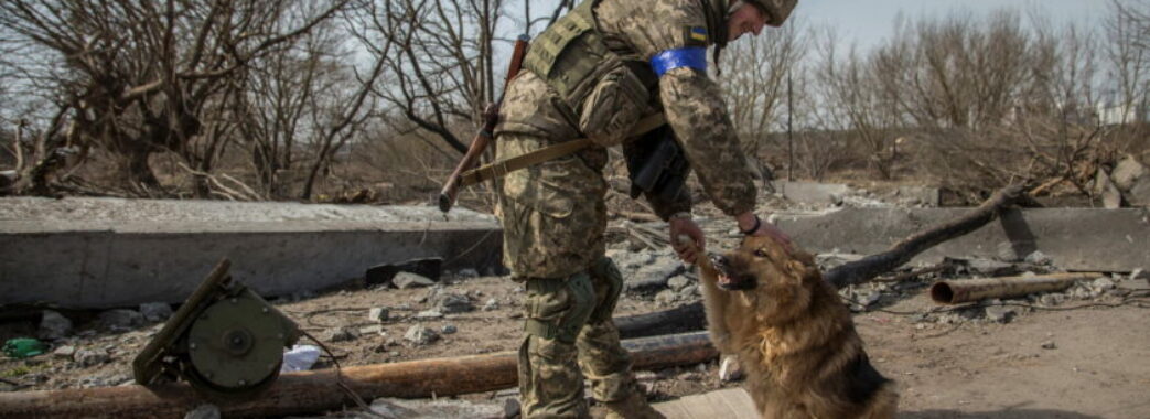 На українську армію через “Дію” вже зібрали понад 250 млн грн: на що витратили