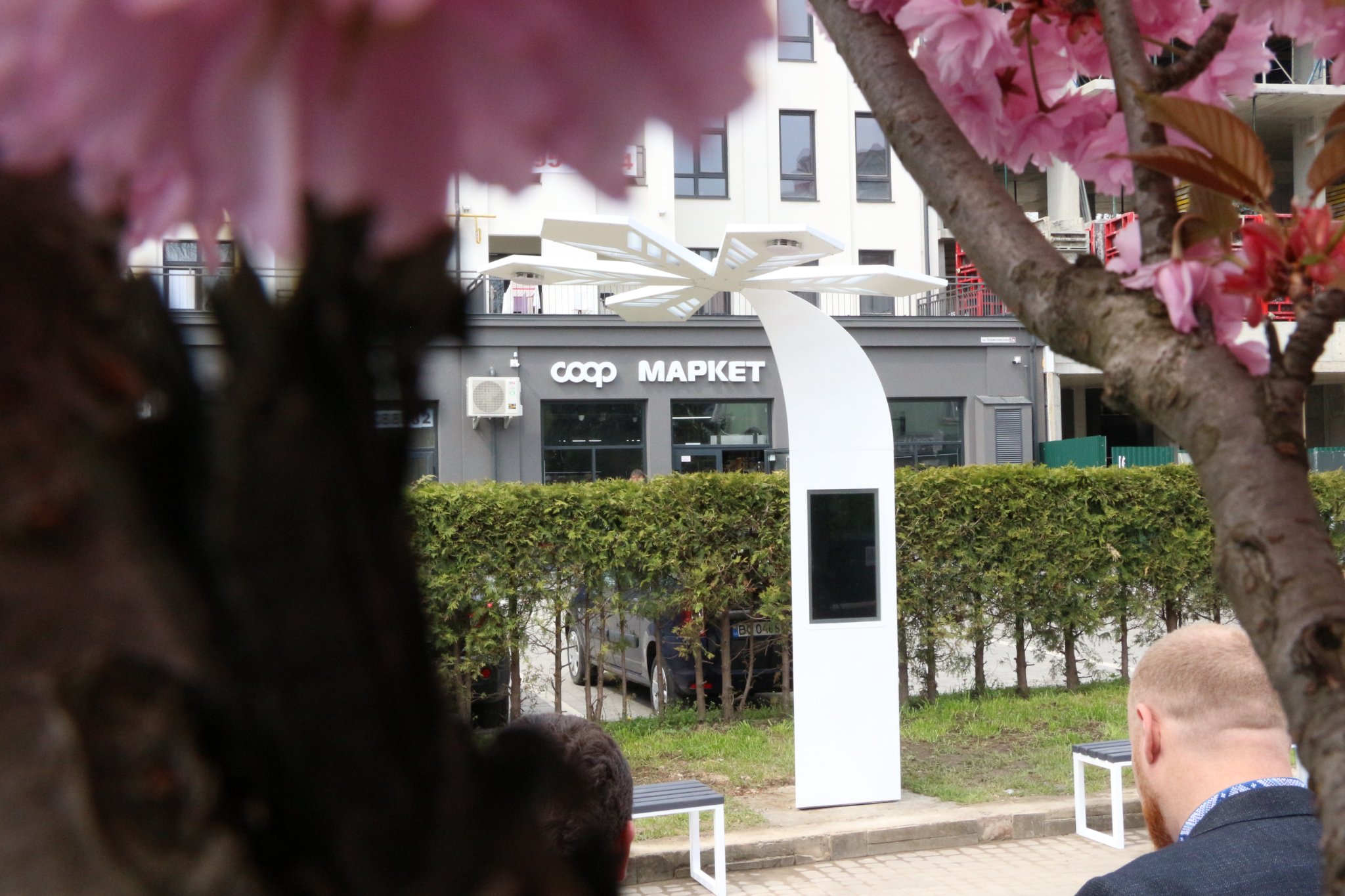 У Трускавці з’явилось перше у світі Дерево Миру