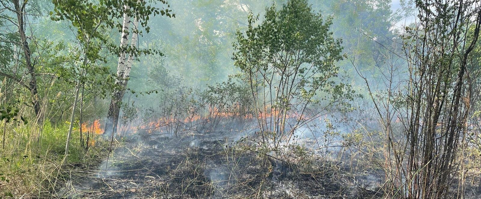 Вітряна погода спричинила сильну пожежу сухостою в Червонограді