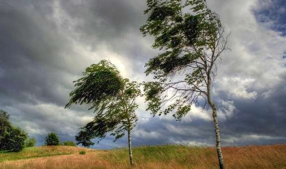 Пориви вітру та грози: яку погоду очікувати в найближчі дні