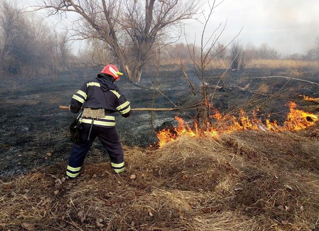 На Львівщині цієї доби пожежі сухостою довелось чотири рази гасити рятувальникам
