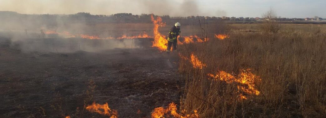 Випалена земля: за добу на Львівщині рятувальники ліквідували 5 підпалів сухої трави