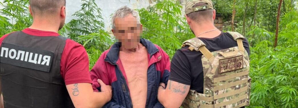 На Стрийщині 66-річний чоловік вирощував та продавав марихуану