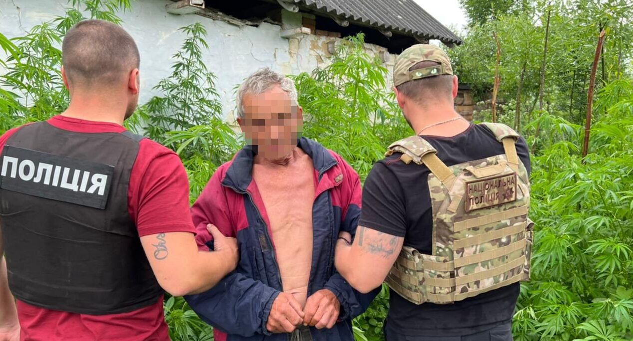 На Стрийщині 66-річний чоловік вирощував та продавав марихуану
