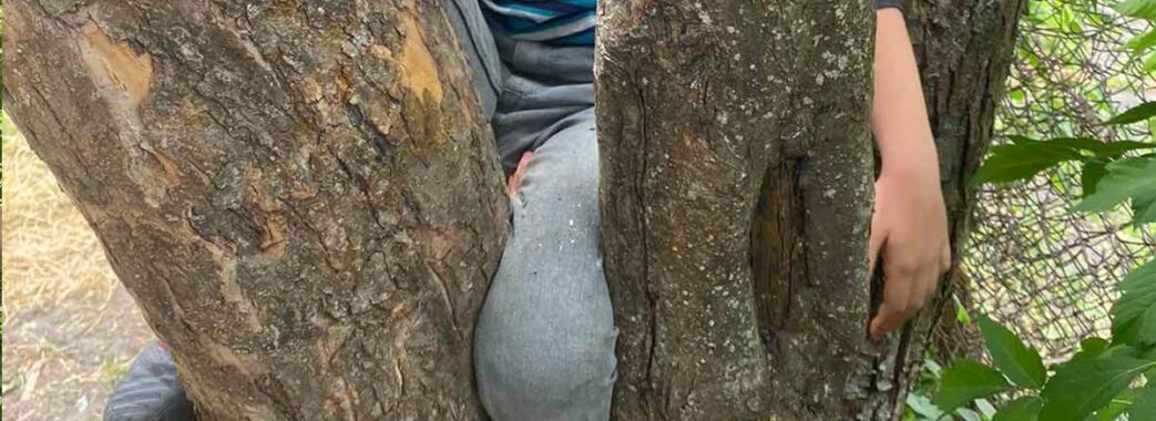 На Червоноградщині хлопчик невдало заліз на дерево: довелось викликати рятувальників