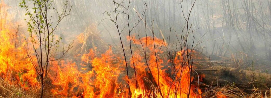 Рятувальники попереджають про надзвичайний рівень пожежної небезпеки на Львівщині