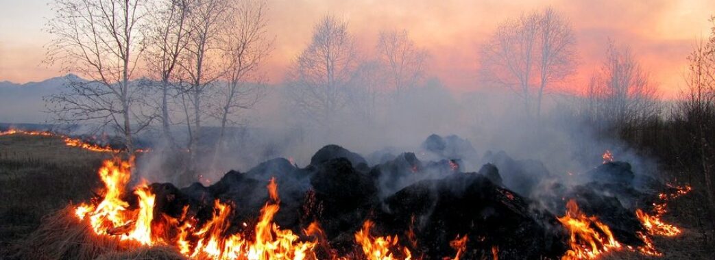 Мешканців Львівщини попереджають про високу пожежну небезпеку