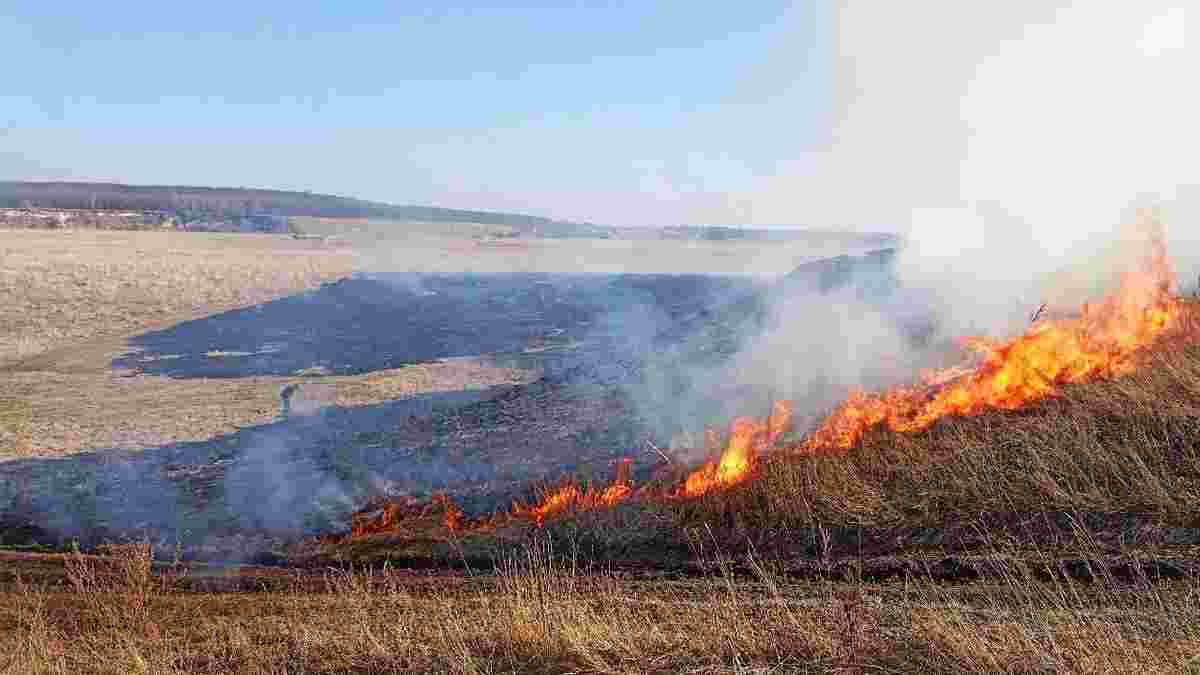 Залізничника з Самбіщини оштрафували на 30 тисяч гривень за спалювання сухостою