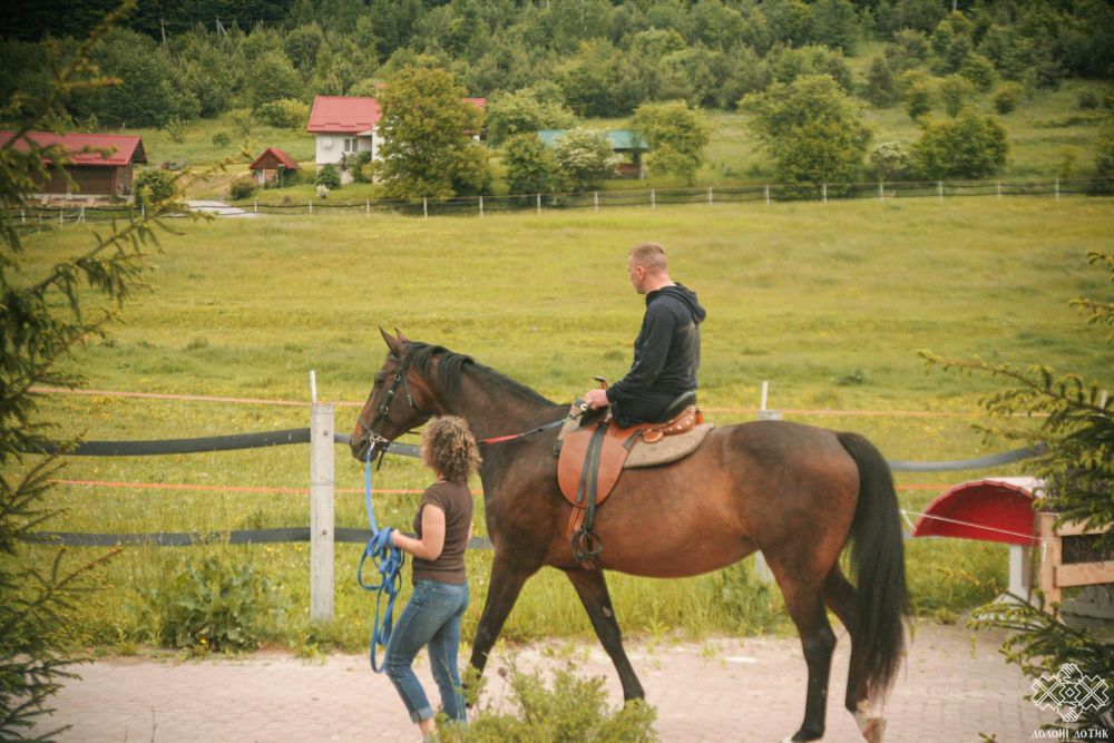 У Львові відновлюють іпотерапію для військових