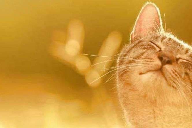 Тепло, але хмарно: якої погоди чекати на Львівщині на початку тижня