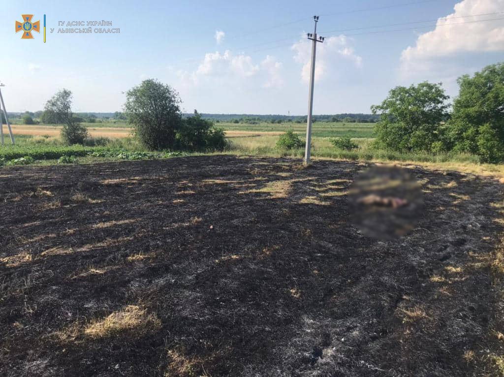 На Львівщині в пожежі сухостою загинула 76-річна жінка