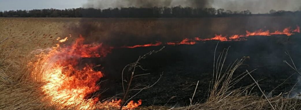 У Раві-Руській пожежникам довелось гасити суху траву