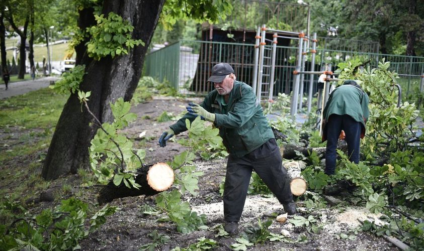 У Львові розповіли, якого лиха наробила вчорашня буря