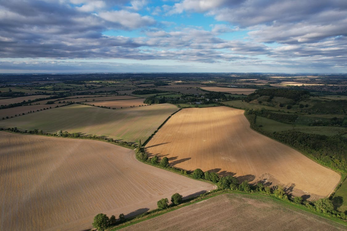 Стало відомо, скільки коштує земля на Львівщині