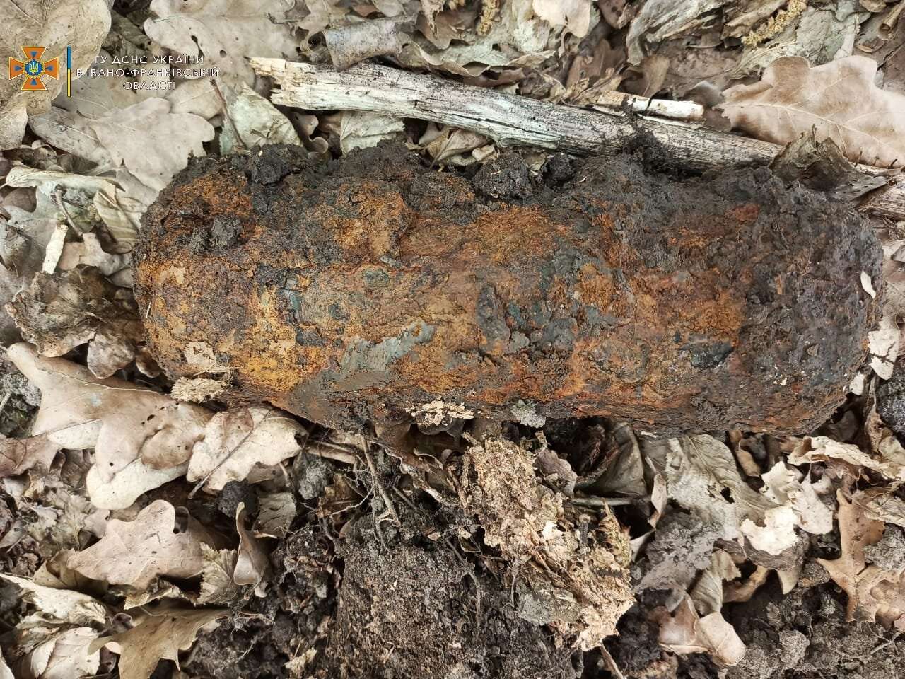 На Самбірщині та в парку у Львові перехожі натрапили на бойові снаряди