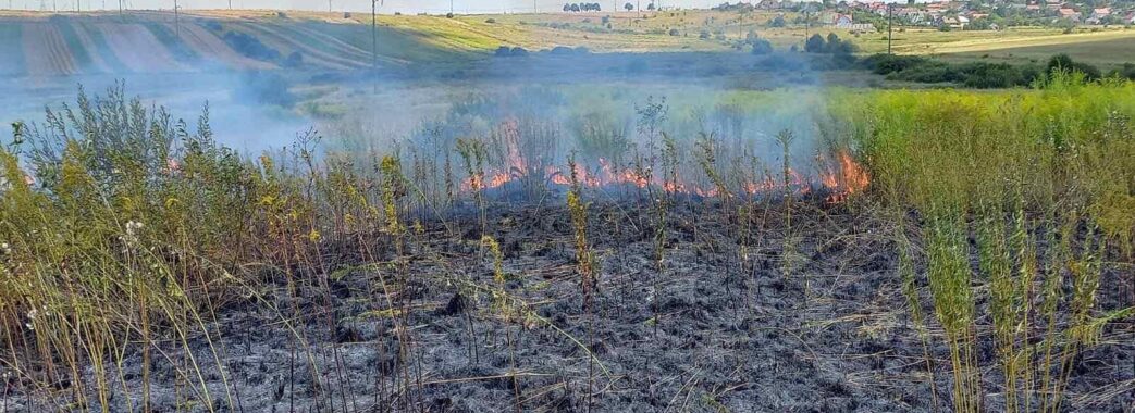 Недобросовісні люди продовжують палити суху траву на Львівщині