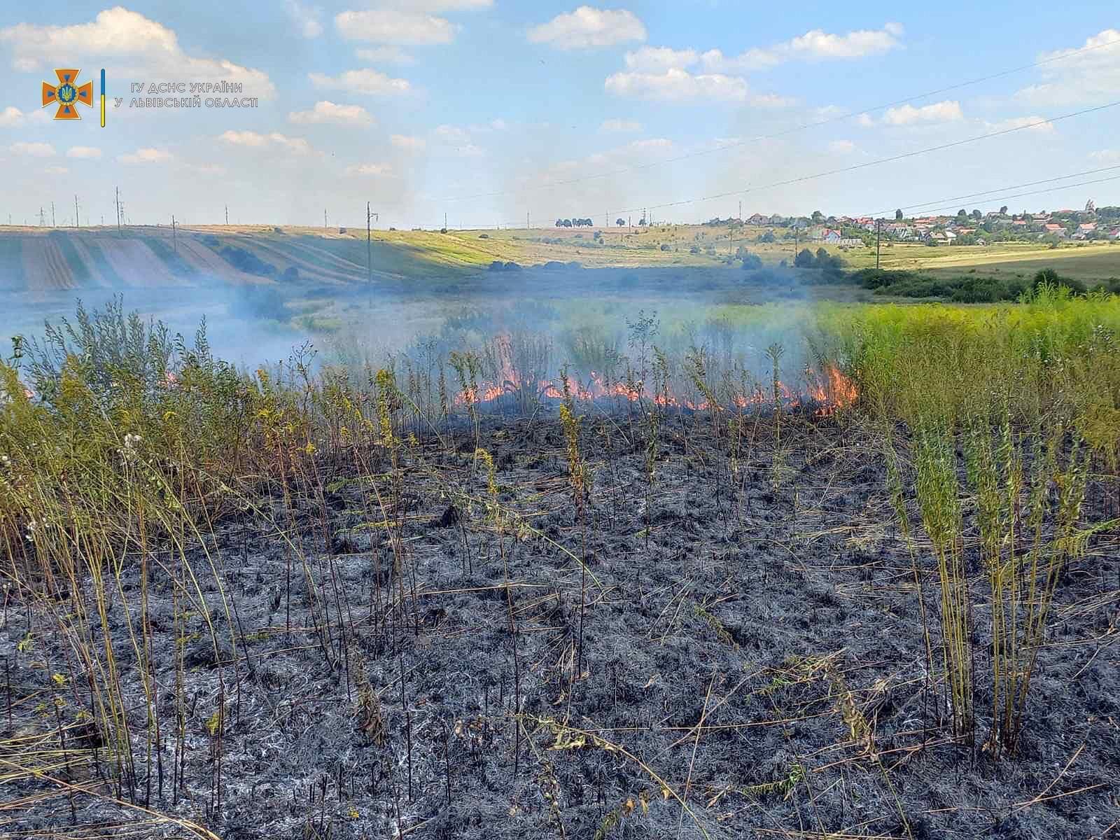 Недобросовісні люди продовжують палити суху траву на Львівщині