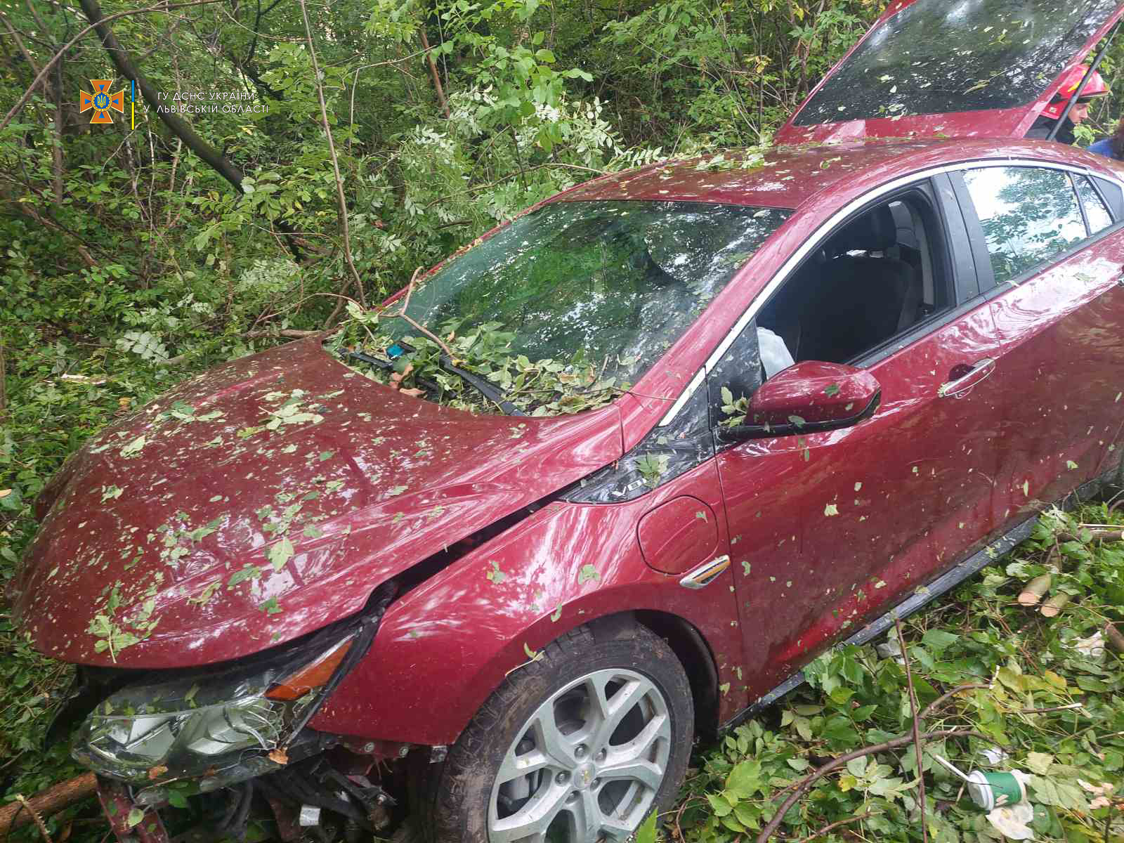 На Золочівщині водійка Chevrolet не могла вибратися з машини, яку затисло деревами