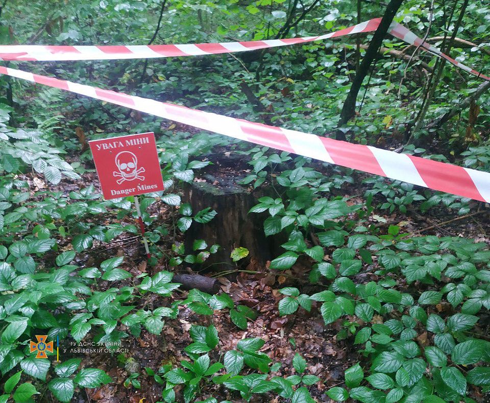 У Дрогобичі в парку перехожі натрапили на бойовий снаряд