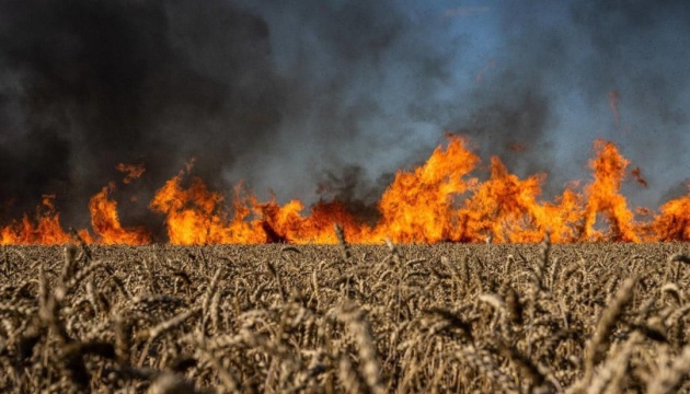 Україна внаслідок окупації територій втратила до 10 мільйонів тонн потенційного врожаю