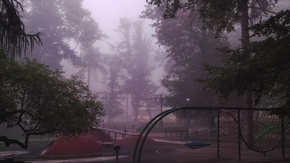 Львів’ян застерігають про туман, грози та шквальний вітер