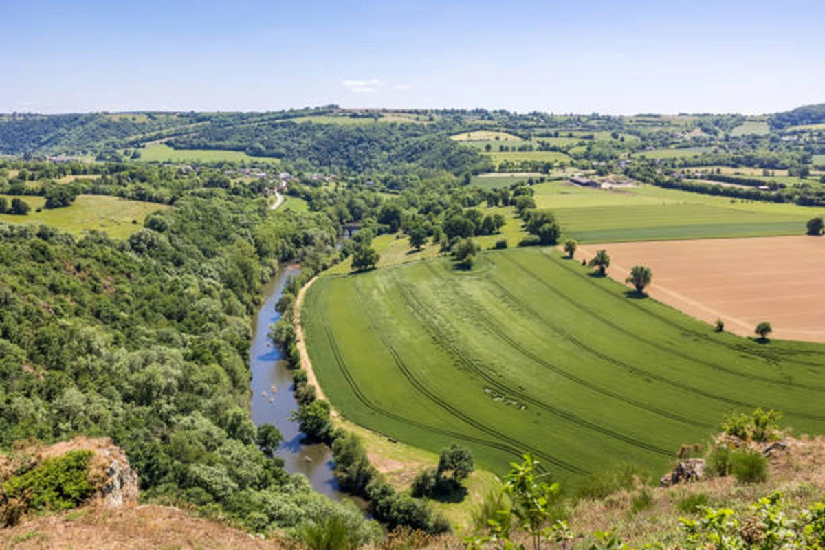 На Львівщині за 12 мільйонів гривень продали найдорожчу ділянку землі