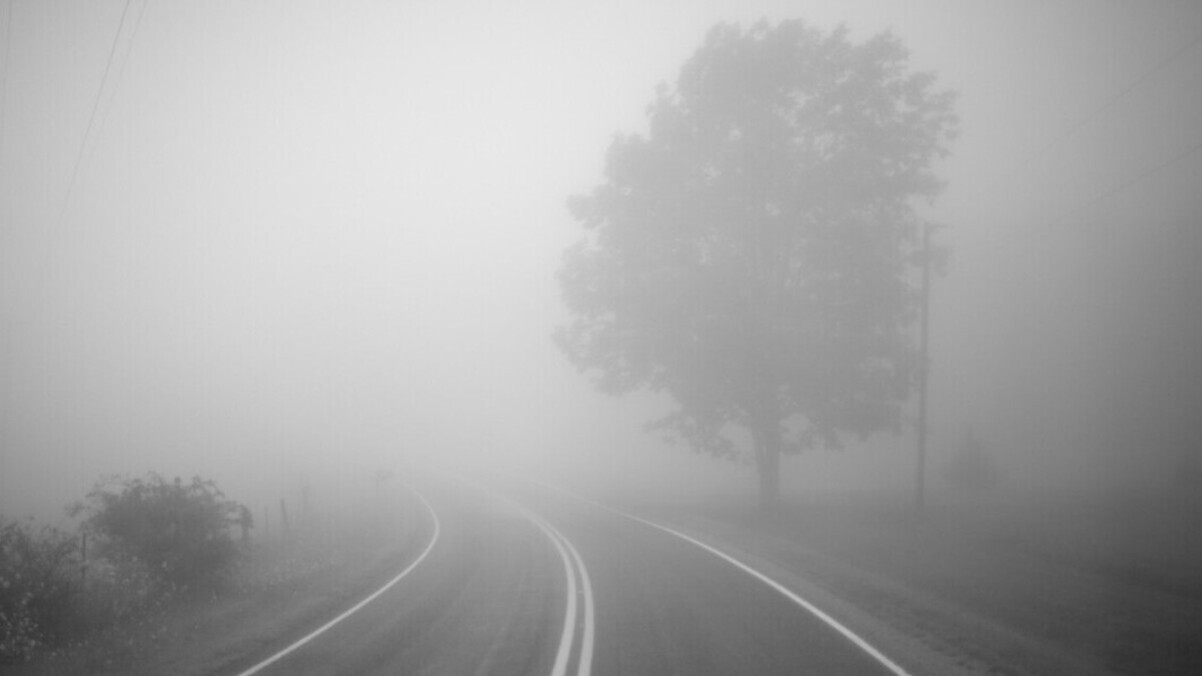Без опадів, але туманно: якою буде погода на Львівщині в останній день жовтня