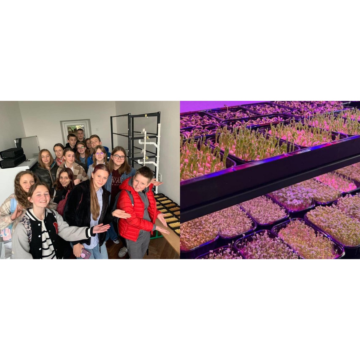 Школярі «Львівського ліцею» на обладнанні, яке виграли в конкурсі, вирощують горошок, пшеницю та салат