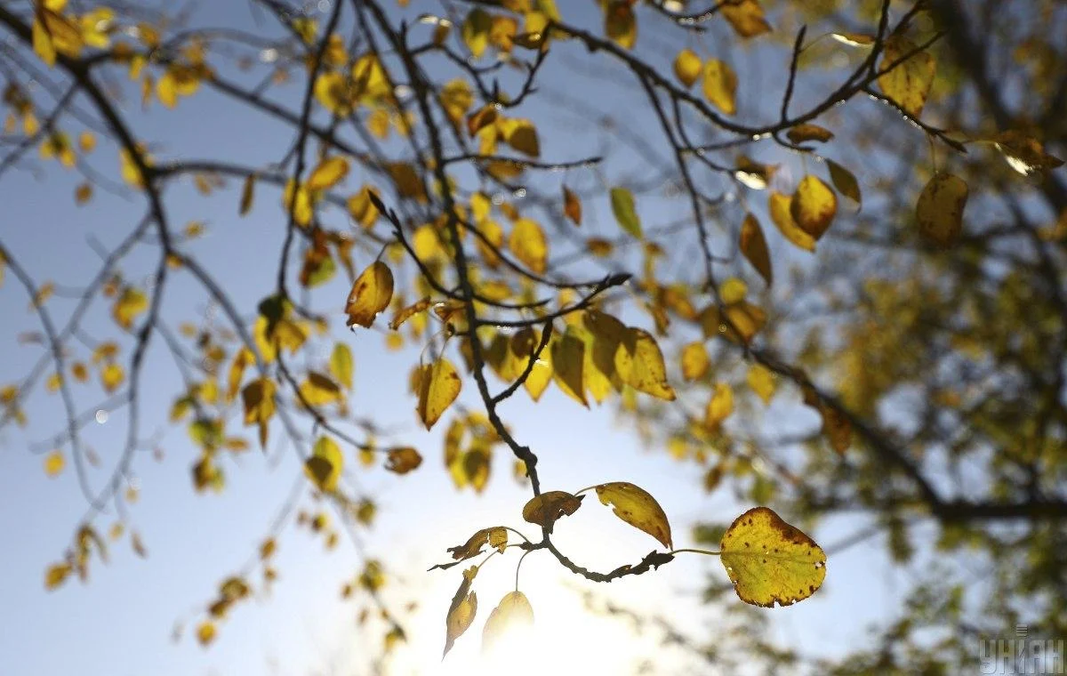 Завтра на Львівщині прогнозують до 20° тепла