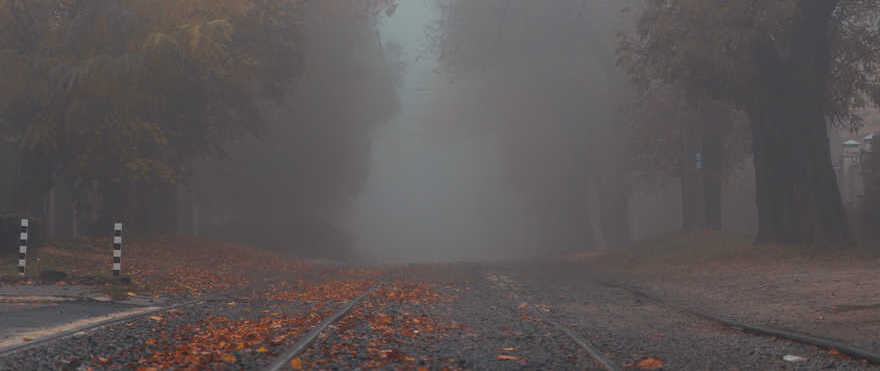 Погода на завтра: синоптики попереджають про погану видимість через туман
