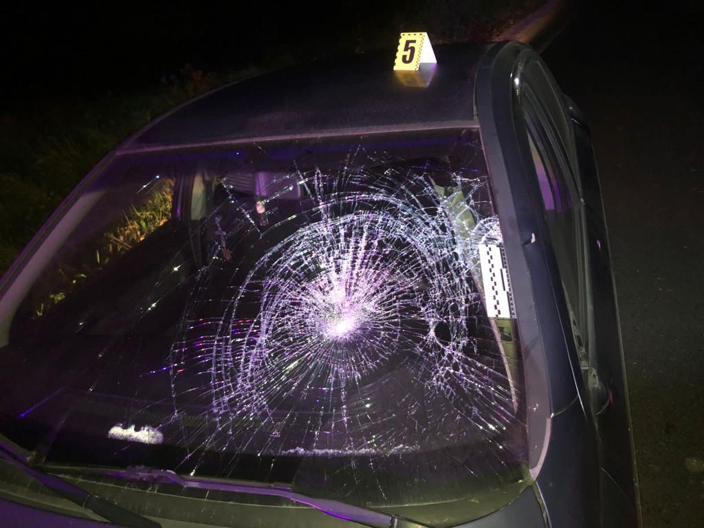У Перемишлянах в аварії загинув пішохід