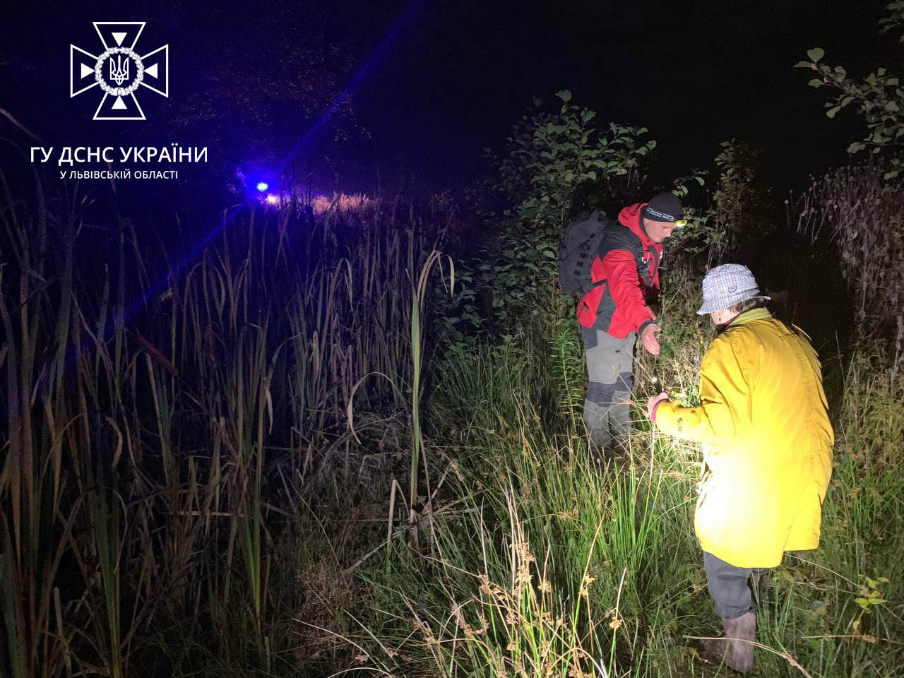 На Стрийщині під час збирання грибів заблукало подружжя