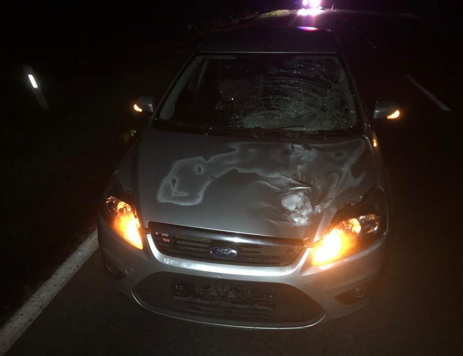 На Львівщині авто на смерть збило пішохода