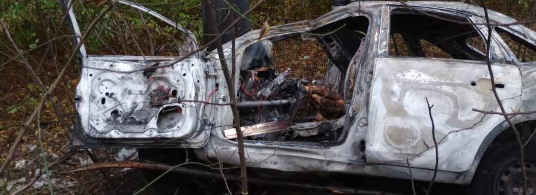 На Стрийщині авто в’їхало в дерево: водій загинув, пасажирка у реанімації (ВІДЕО)