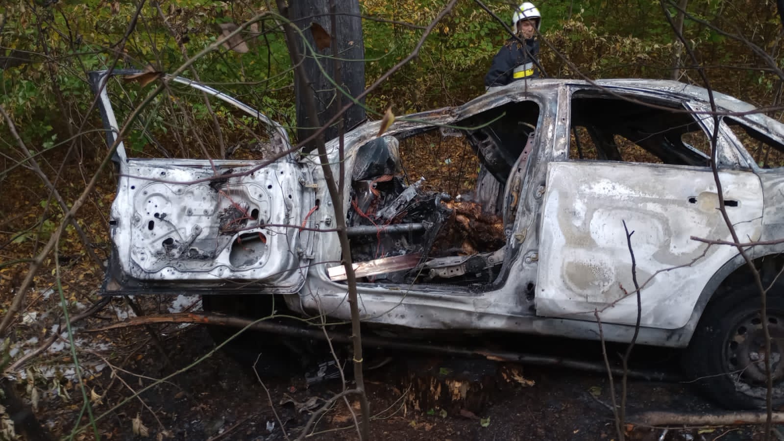 На Стрийщині авто в’їхало в дерево: водій загинув, пасажирка у реанімації (ВІДЕО)