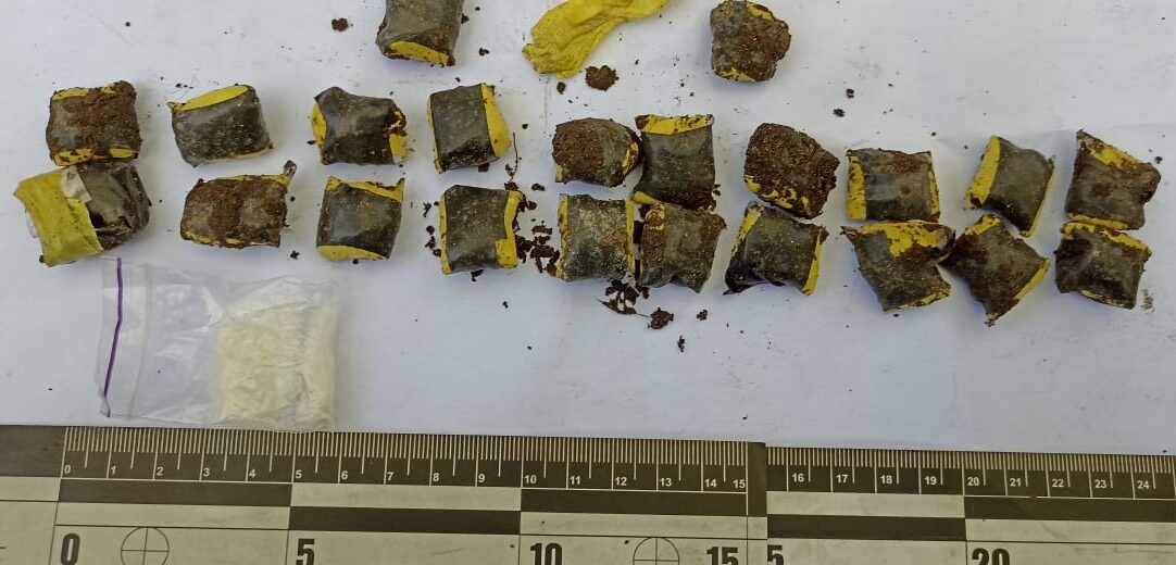 Робив “закладки” в міському парку Стрия: поліція затримала наркоторговця