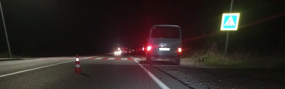 На Львівщині у ДТП загинули два пішоходи