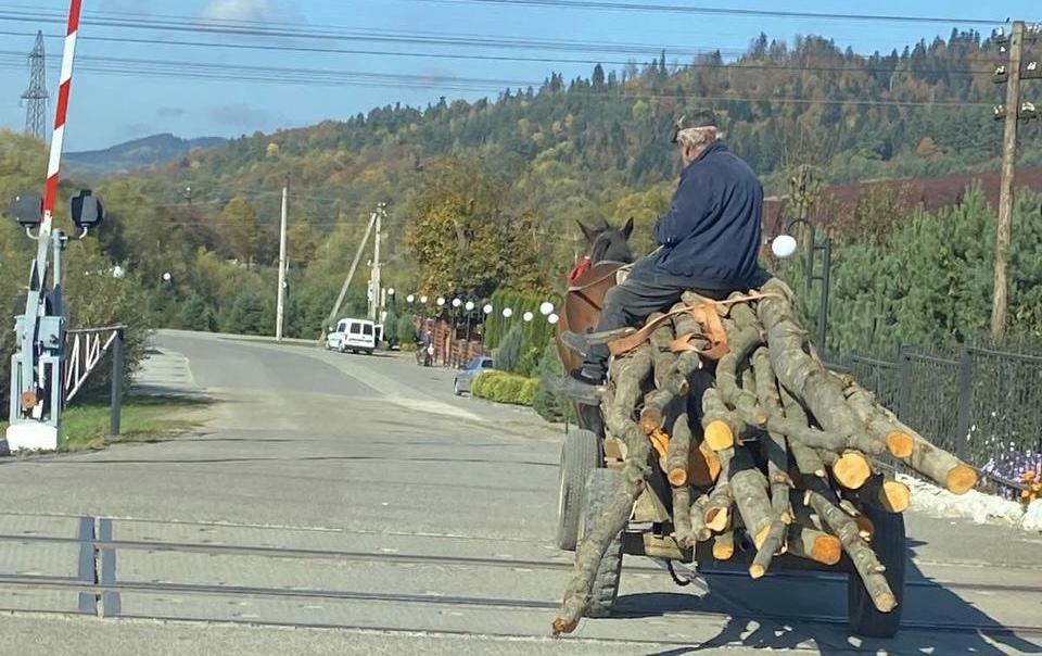 Мешканцю Стрілок загрожує штраф у 6 мільйонів гривень за зрубану на дрова вільху (ВІДЕО)