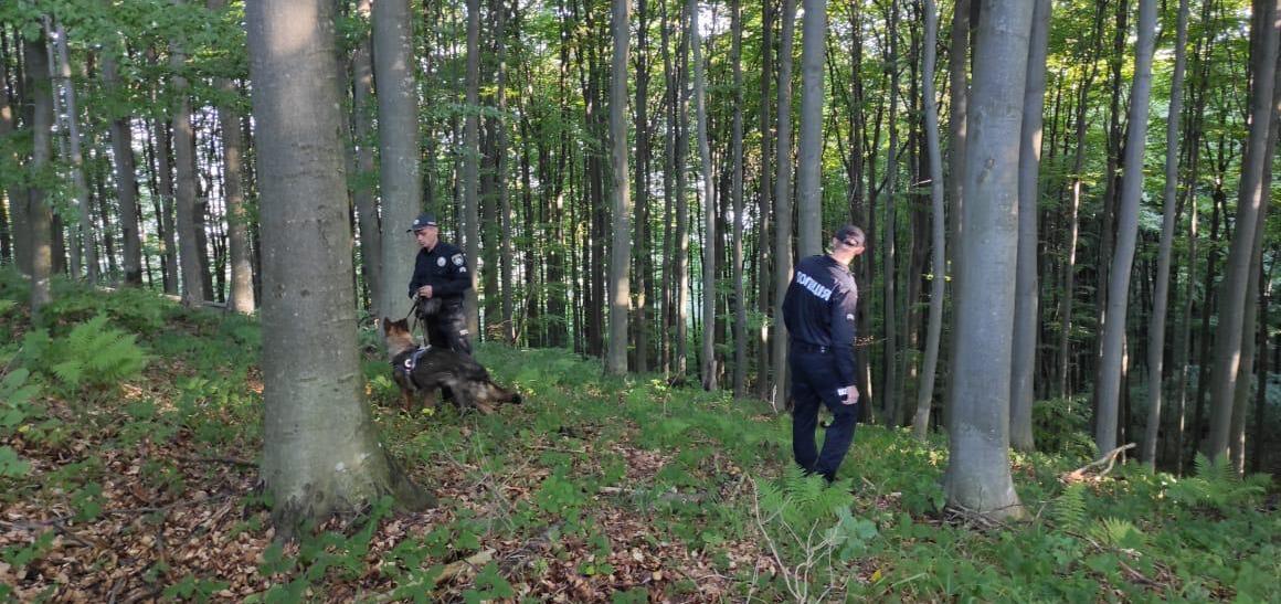 На Самбірщині в лісі заблукали двоє місцевих жителів: чоловіка довелося госпіталізувати