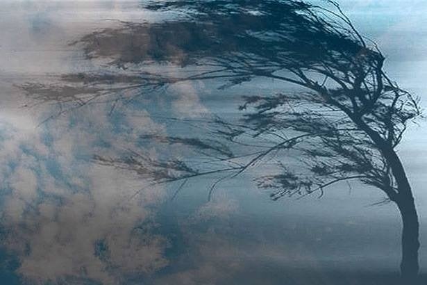 На Львівщині прогнозують сильні пориви вітру та дощ