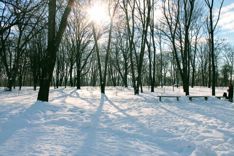 Якою буде погода у Львівській області на Миколая