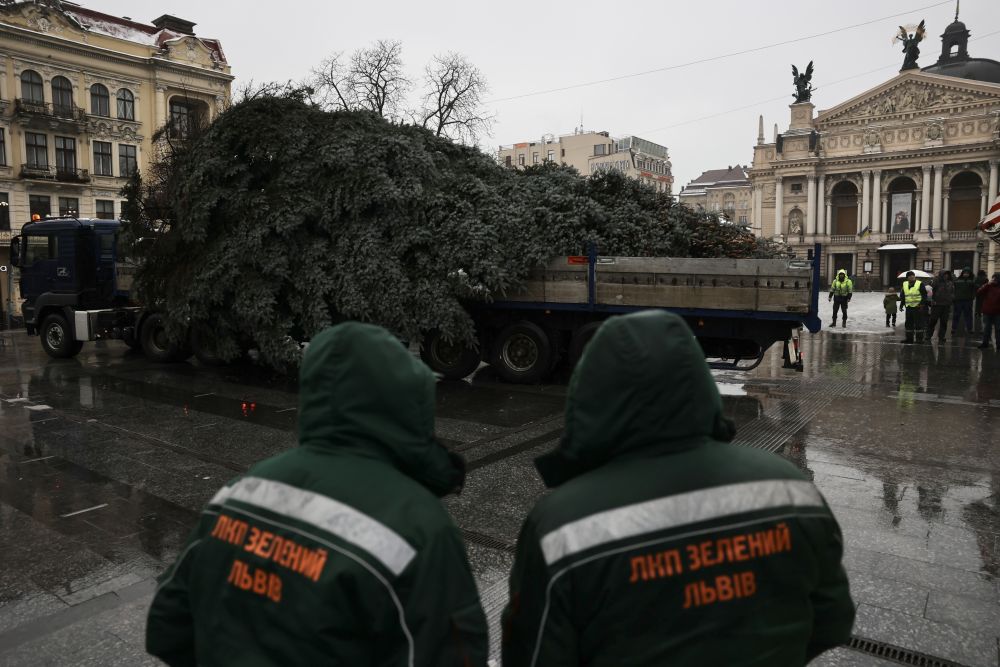 У Львові встановлюють Головну ялинку міста