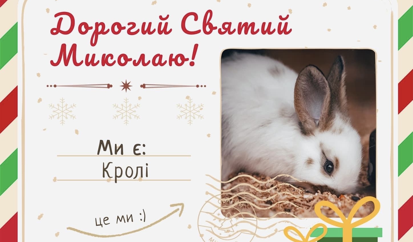 Домівка врятованих тварин запускає акцію «Миколай в Домівку»