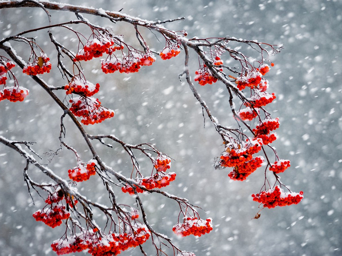 Мокрий сніг і дощ: якою буде погода сьогодні на Львівщині