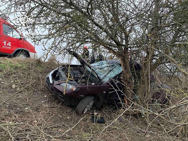 Минулої доби на Львівщині дві автівки злетіли з дороги