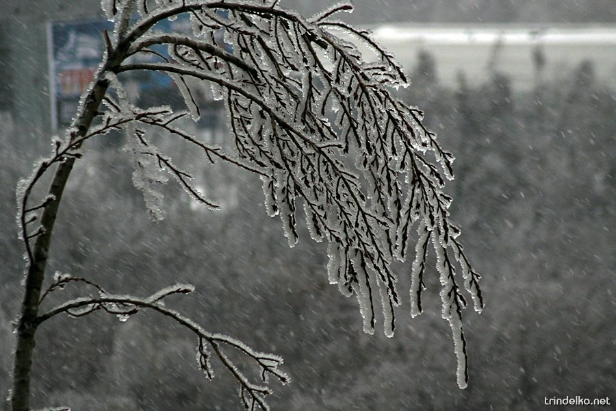 Вітер, ожеледиця та мокрий сніг: якою буде погода на Львівщині на Святвечір